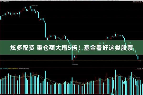 炫多配资 重仓额大增5倍！基金看好这类股票