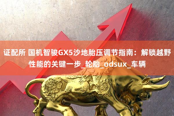 证配所 国机智骏GX5沙地胎压调节指南：解锁越野性能的关键一步_轮胎_odsux_车辆