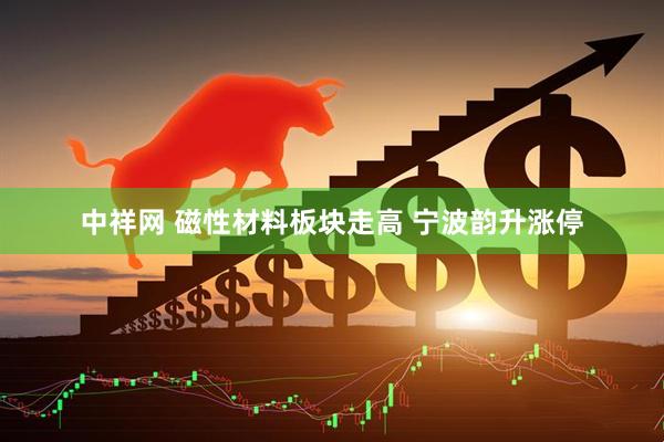 中祥网 磁性材料板块走高 宁波韵升涨停