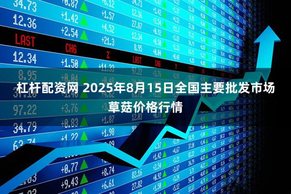 杠杆配资网 2025年8月15日全国主要批发市场草菇价格行情